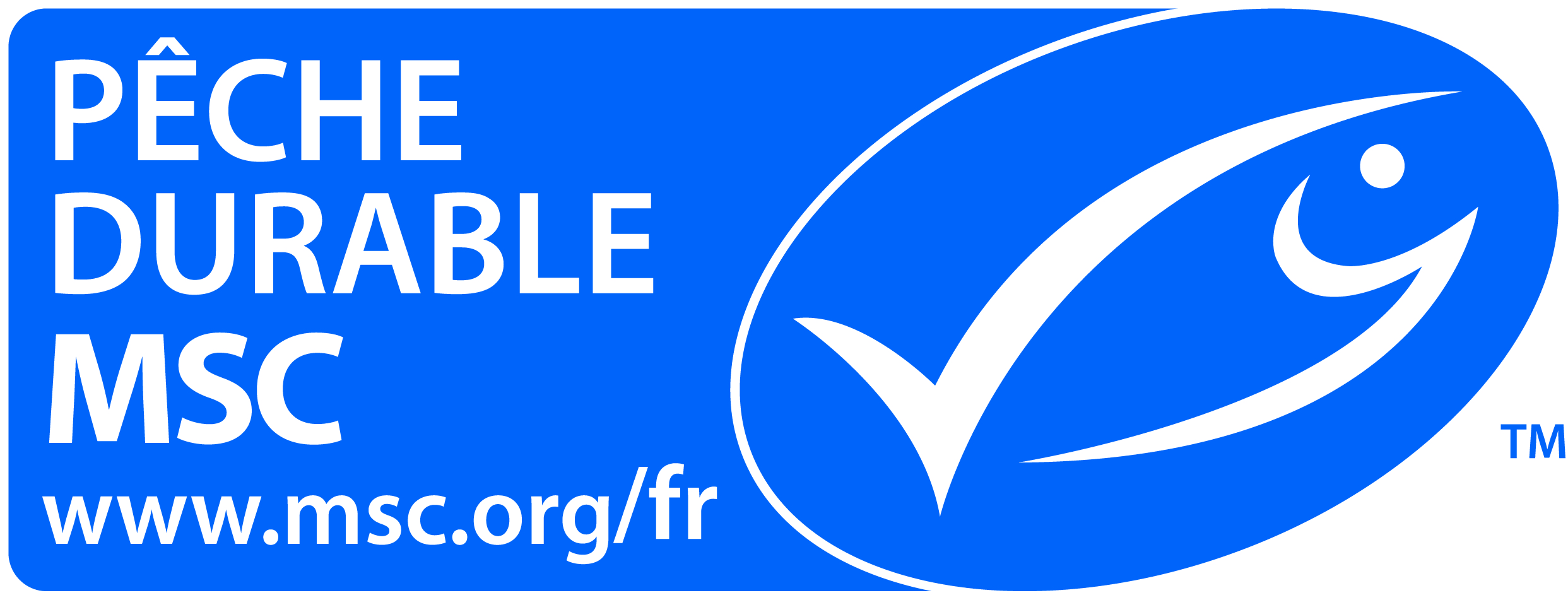La pêcherie de coquille Saint-Jacques à la drague de la Baie de Saint-Brieuc a obtenu la certification environnementale de l’ONG MSC.