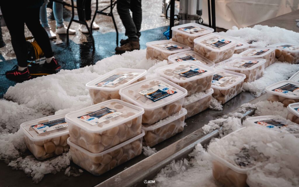 2025_FETEDELACOQUILLE-dimanche-14